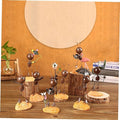 Ant Decoration Piece - Arabinox