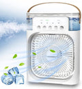 Cooling Fan With Ice - Arabinox