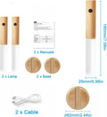 INDUCTION LAMP LIGHT - Arabinox