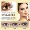 Lash Brow Intense Regeneration Serum - Arabinox