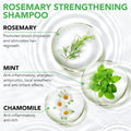 Mint Strengthening Shampoo (100ml) - Arabinox
