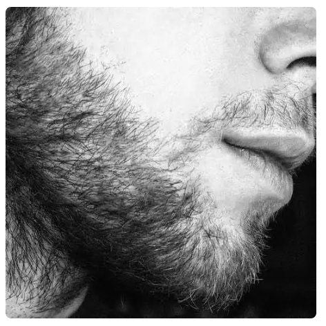 Natural Men Beard Oil - Arabinox