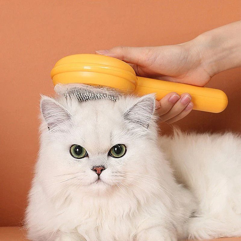 Pet Hair Cleaning Comb Brush - Arabinox