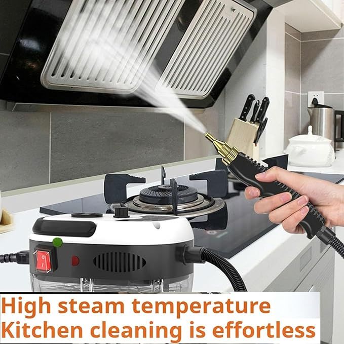 Pressurized Steam Cleaner - Arabinox