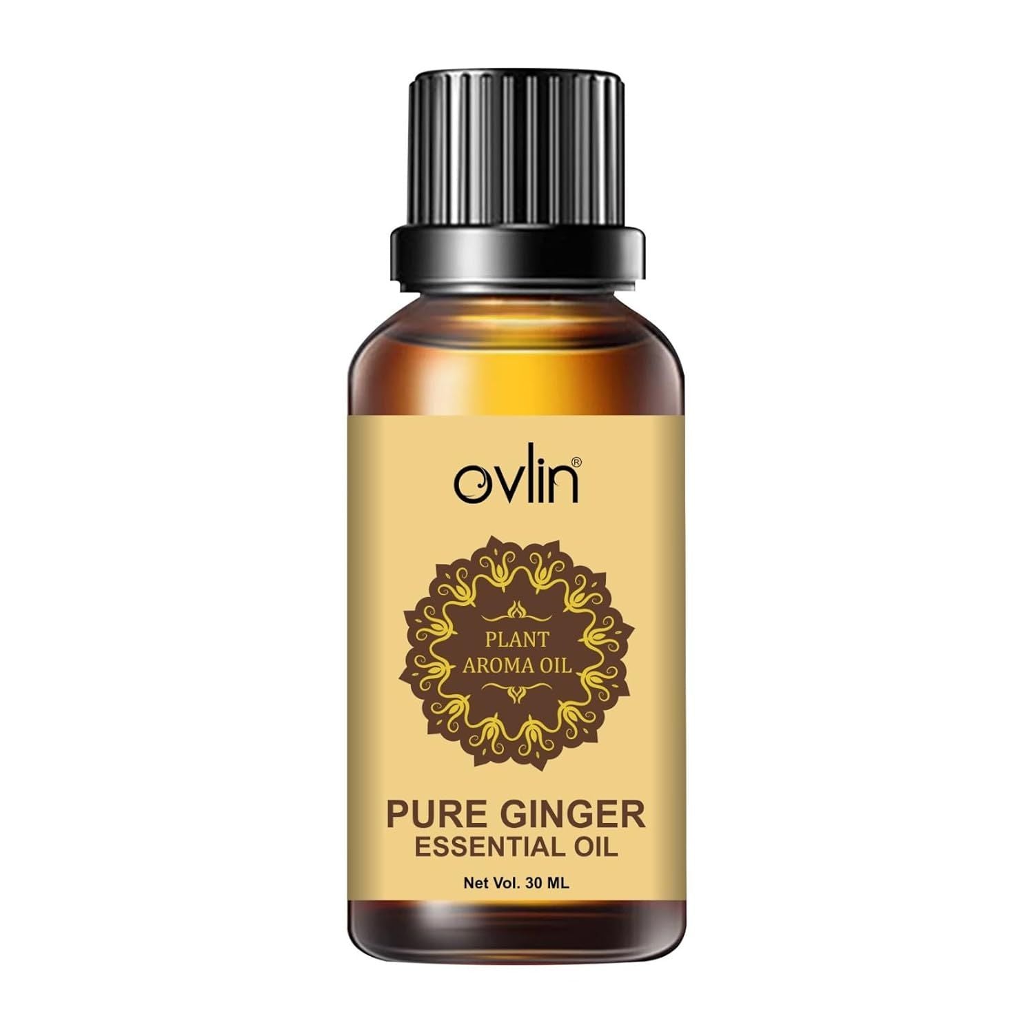 Pure Ginger Essential Oil Belly Fat Drainage Hair Growth Skin 30ml - Arabinox